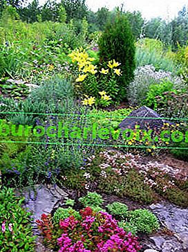 Skalka botanické zahrady v Solikamsku