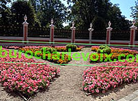 Kuskovo.  Květinová zahrada v holandském domě