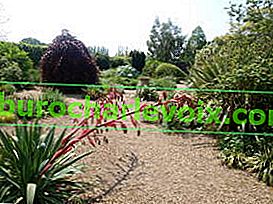 Denmanova zahrada