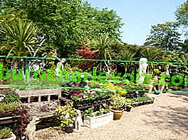 Denmanova zahrada
