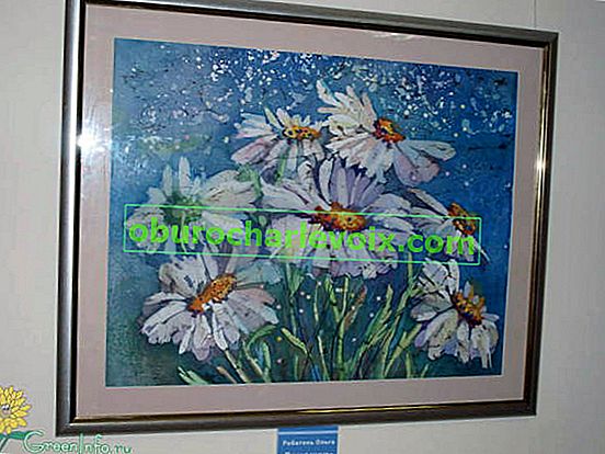 Izložba cvjetnog kolaža i batika 