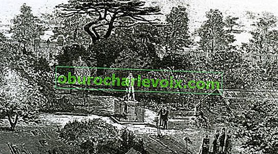 Физическа градина на Челси.  Уолтър Бърджис (1846-1908)