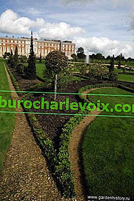 Hampton Court.  Holandská chuť v soukromé zahradě - stromy, květiny a barokní arabesky