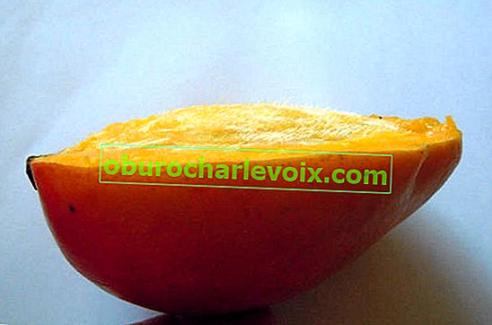 Na bočním řezu mangového ovoce je jasně vidět chlupatost kosti