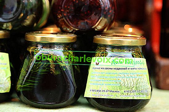 Léčivý džem z cedrové borovice