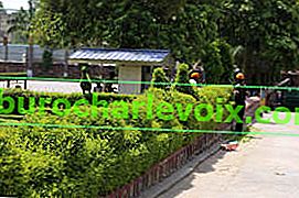 Trimmen einer Topiary-Hecke in Agra