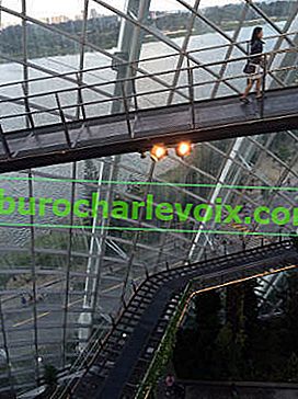 Osvětlení halogenovými žárovkami ve skleníku