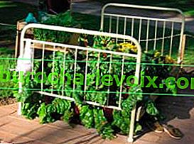 Декоративна зеленчукова градина