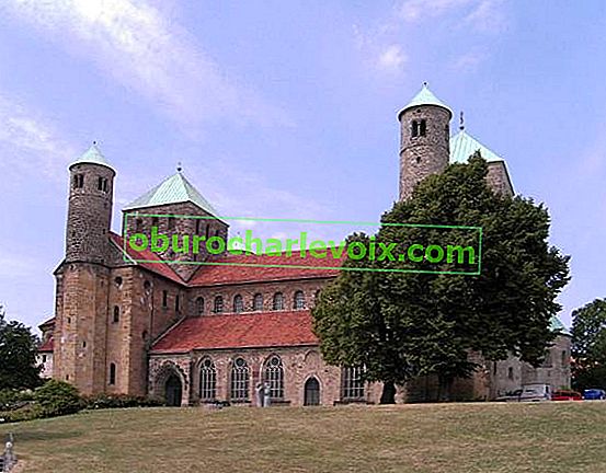 Hildesheimův tisíciletý růžový keř