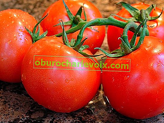 Nützliche Eigenschaften von Tomaten